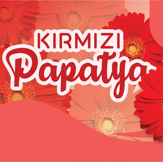 Kırmızı Papatya