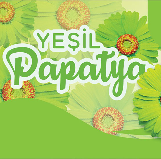 Yeşil Papatya